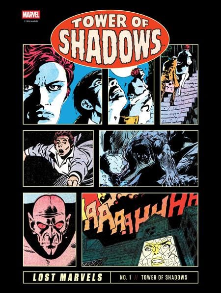 Fantagraphics Graphic Novel LOST MARVELS HC NO 01 TOWER OF SHADOWS (MR) 9798875000379 0225FB494