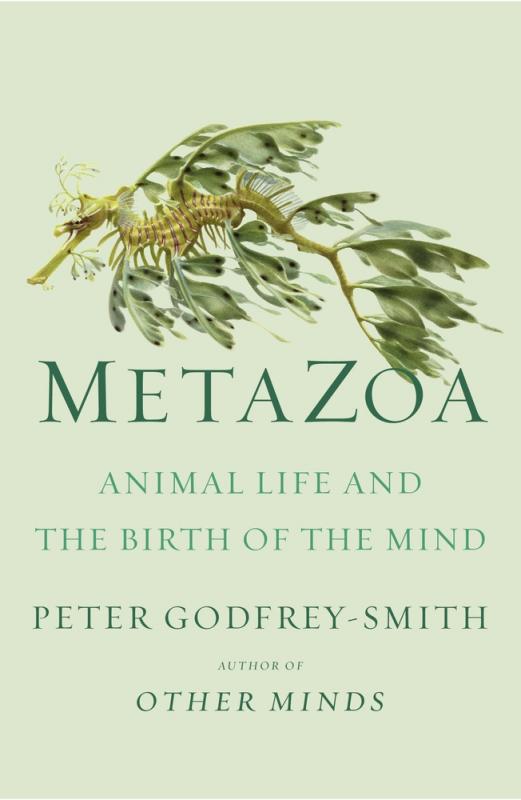 Farrar, Straus and Giroux Books > Smarts > Science Metazoa: Animal Life and the Birth of the Mind - Hardcover 9780374207946 MC-26126