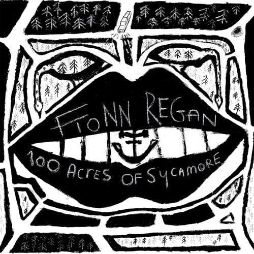 Fionn Regan Music > Vinyl Records Fionn Regan - 100 Acres Of Sycamore 5400863050542 HEVL88.1