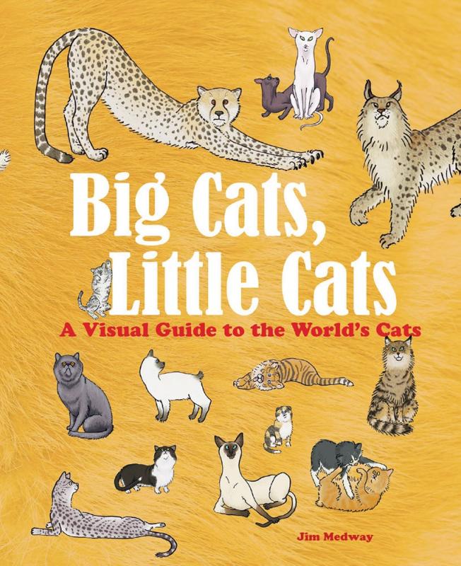 Firefly Books Books > Art & Gifts > Pets Big Cats, Little Cats: A Visual Guide to the World's Cats - Book 9780228101079 MC-16872
