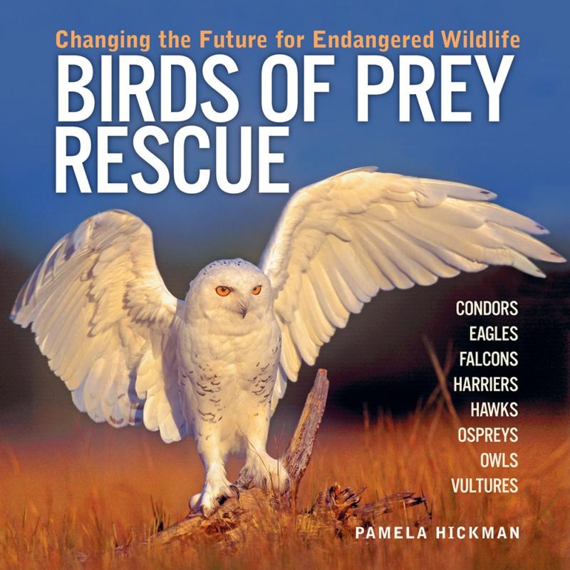 Firefly Books Books > Smarts > Science Birds of Prey Rescue: Changing the Future for Endangered Wildlife - Paperback 9781554071449 MC-31796