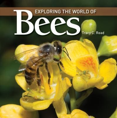 Firefly Books Books > Smarts > Science Exploring the World of Bees - Hardcover 9781554078820 MC-31679