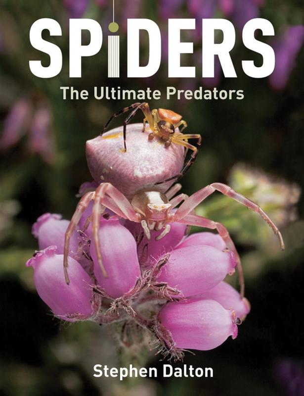 Firefly Books Books > Smarts > Science Spiders: The Ultimate Predators - Paperback 9781554079759 MC-17054