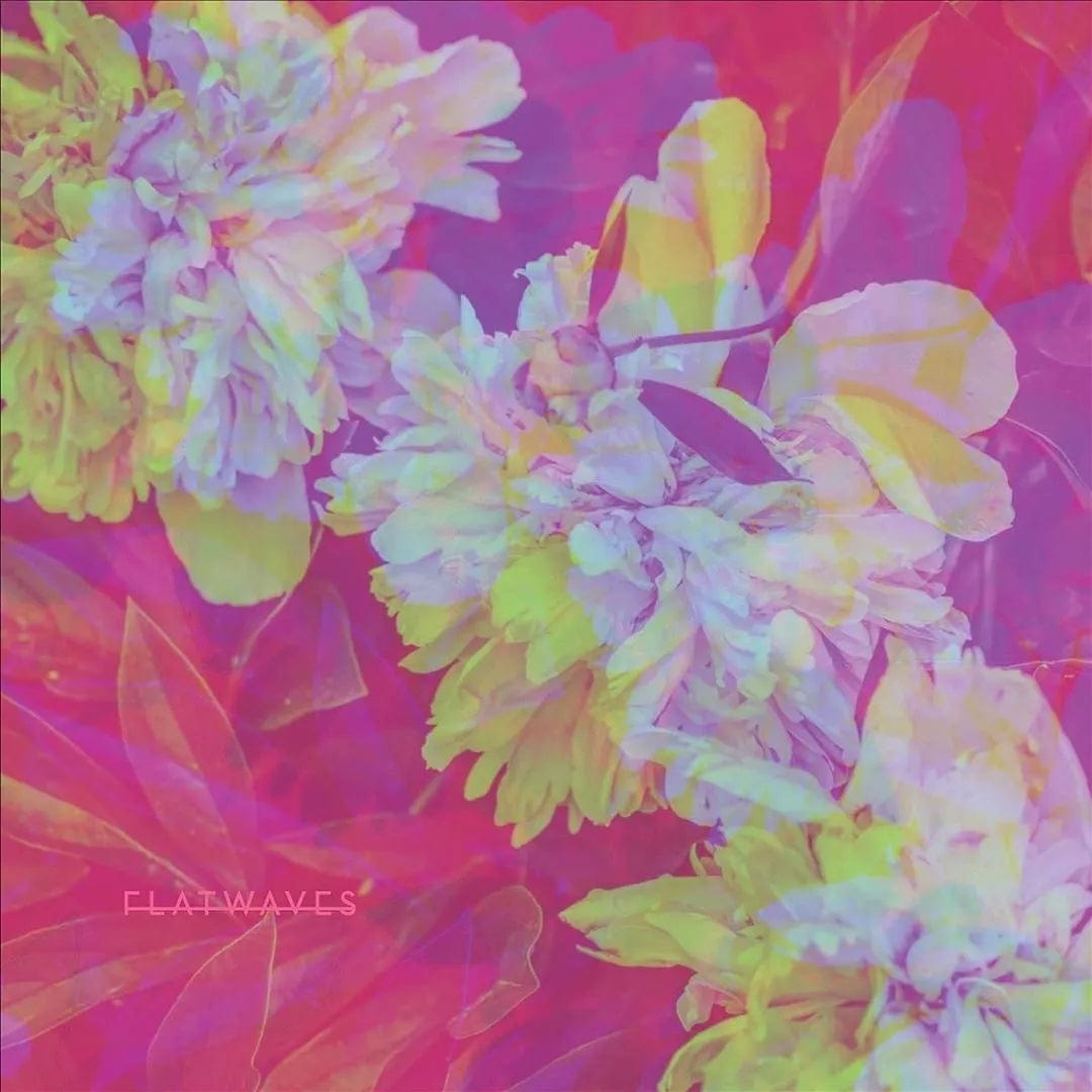 Flatwaves Music > Vinyl Records Flatwaves - Numbra 760137124191 ABEV1.1