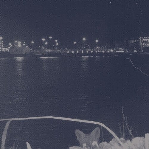 Fuchs Music > Vinyl Records Fuchs - Fuchs 880918257532 ALIT79.1