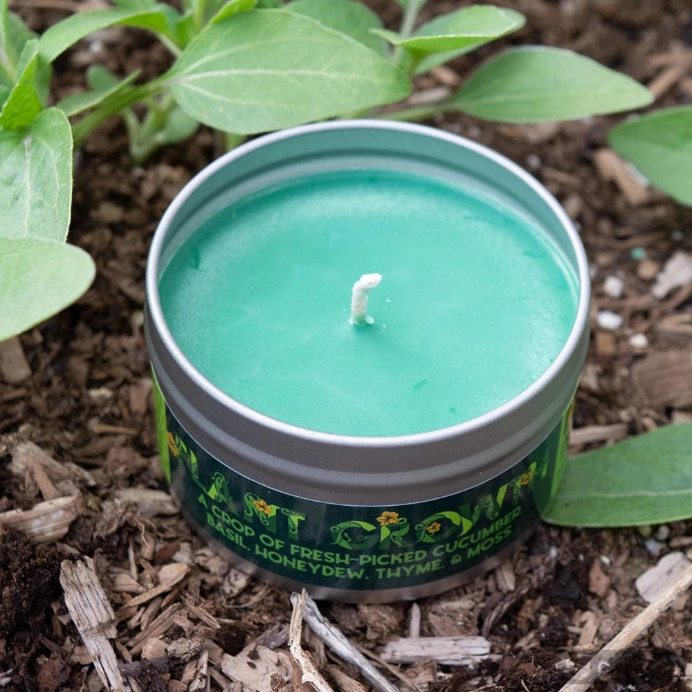 Game Master Dice Decor > Candles Game Master Dice: Gaming Candle - Plant Growth 798336216782 80036