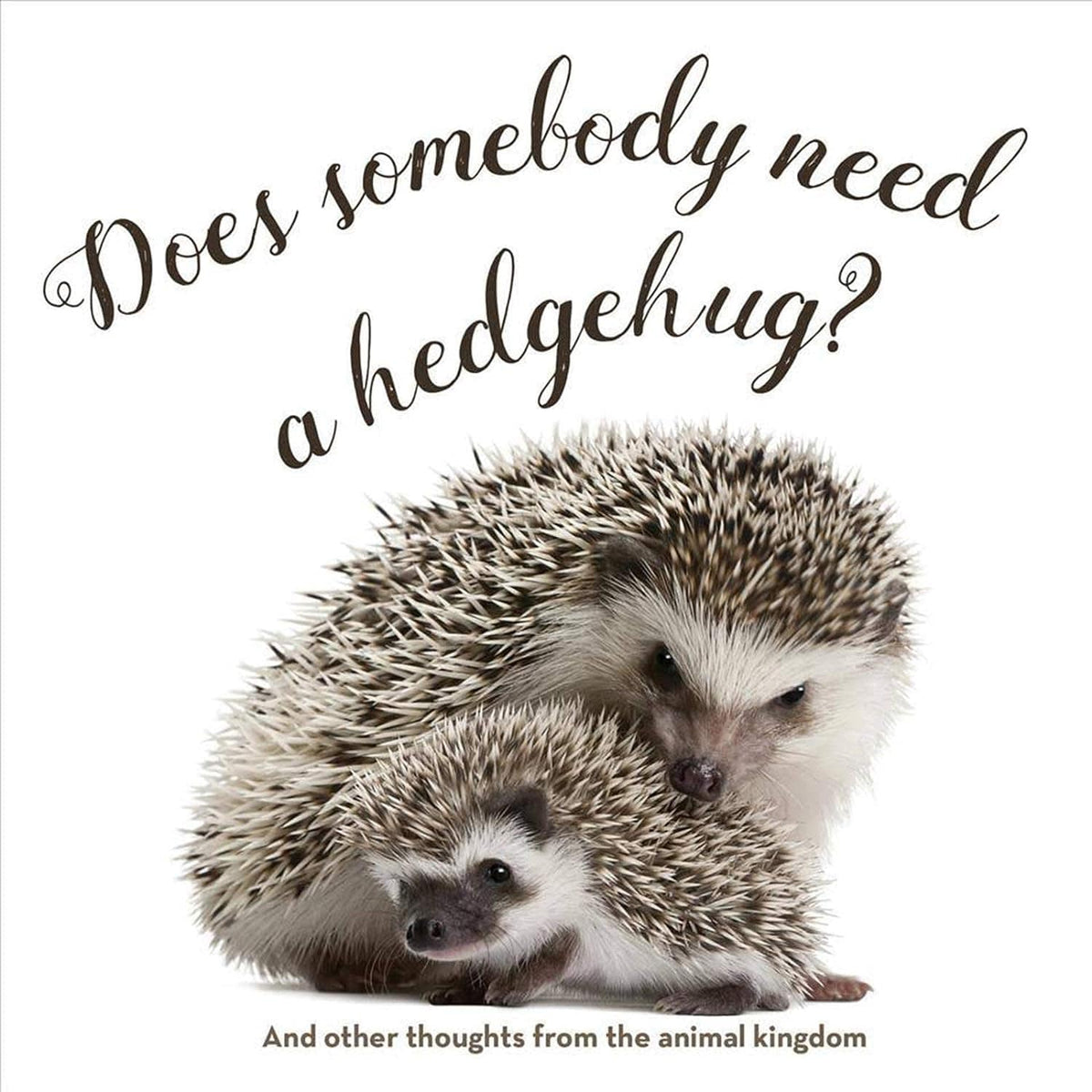 Gibbs Smith Books Does Somebody Need a Hedgehug?: And Other Thoughts From the Animal Kingdom 9781423648109
