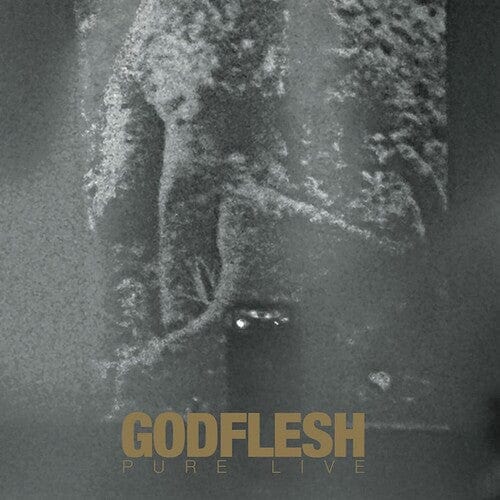 Godflesh Music > Vinyl Records Godflesh - Pure Live 9505449711599 AVCE62.1