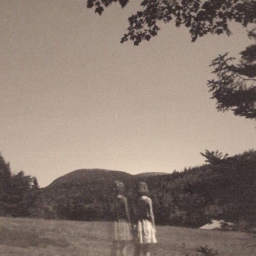 Goldmund Music > Vinyl Records Goldmund - Malady Of Elegance 880918239323 USEN4.1