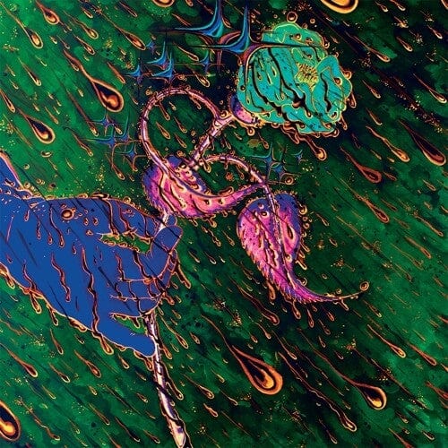 Grave Flowers Bongo Band Music > Vinyl Records Grave Flowers Bongo Band - Strength Of Spring 733102720087 CLFC131.1