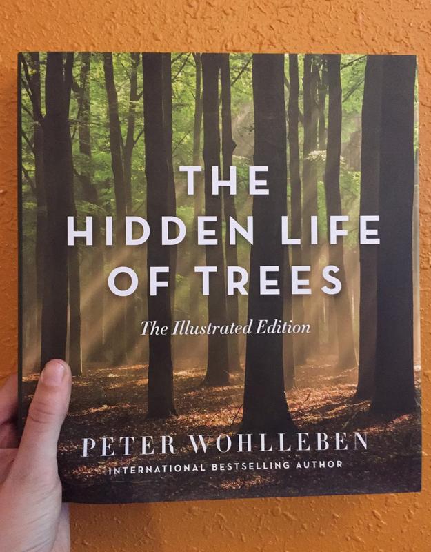 Greystone Books Books > Art & Gifts > Art Hidden Life of Trees: The Illustrated Edition - Book 9781771643481 MC-24059