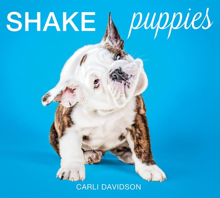 Harper Design Books > Art & Gifts > Pets Shake Puppies - Hardcover 9780062351722 MC-21100