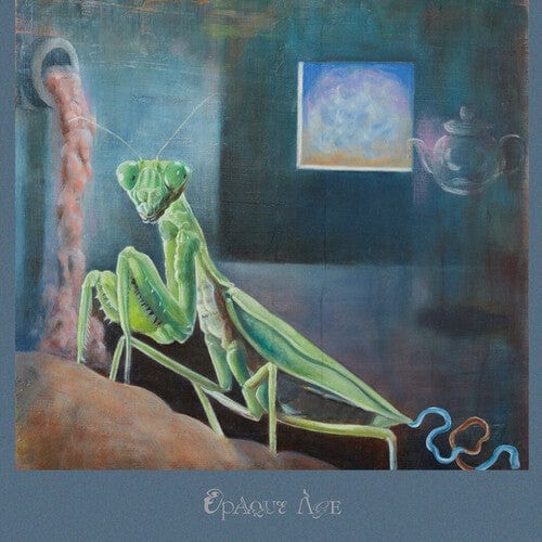 Hatch Music > Vinyl Records Hatch - Opaque Age 4526180575436 TIRT49.1