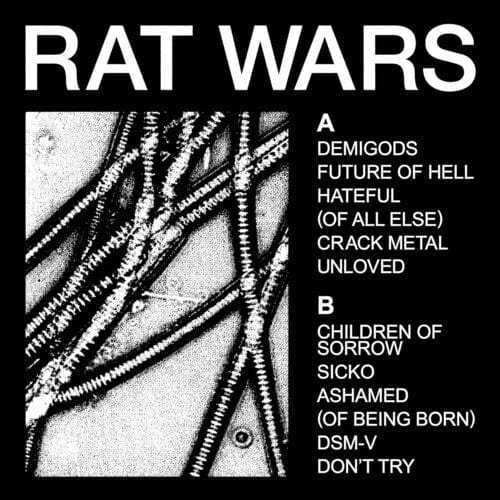 Loma Vista Music > Vinyl Records HEALTH - Rat Wars 888072568341 LMVT140221.1