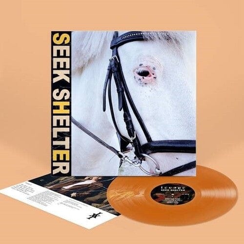 Iceage Music > Vinyl Records Iceage - Seek Shelter - Orange Vinyl 184923129038 MXSU231290.1