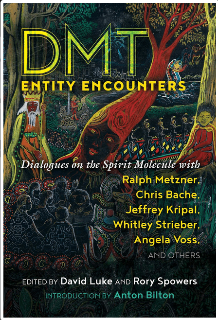 Inner Traditions/Bear & Company Books > Food, Drink, & Drugs > Drug History DMT Entity Encounters: Dialogues on the Spirit Molecule with Ralph Metzner, Chris Bache, Jeffrey Kripal, Whitley Strieber, Angela Voss, and Others - Paperback 9781644112335 MC-53115