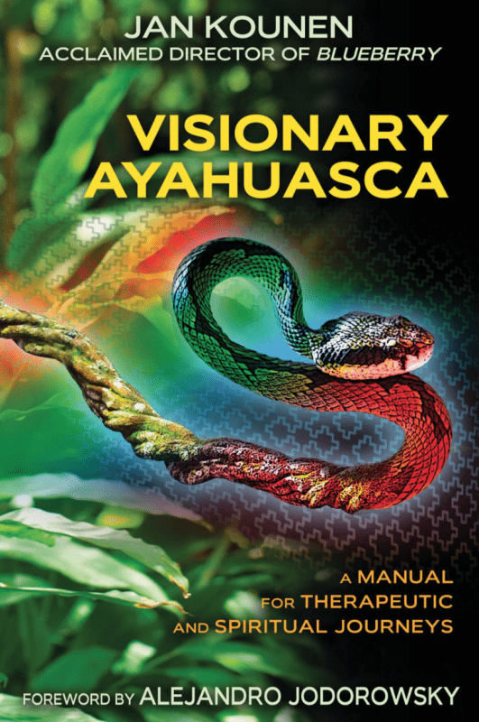 Inner Traditions/Bear & Company Books > Food, Drink, & Drugs > Drugs Visionary Ayahuasca: A Manual for Therapeutic and Spiritual Journeys - Paperback 9781620553459 MC-26596