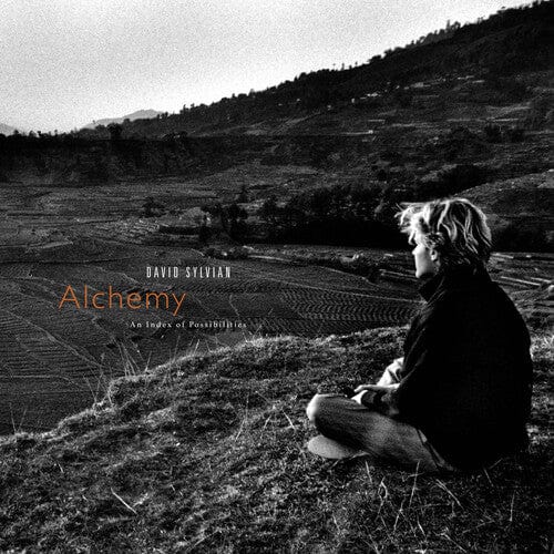 Integral Music > Vinyl Records David Sylvian - Alchemy: An Index Of Possibilities - Gold Opaque Red (Colored Vinyl) 5400863176297 IEGA37.1