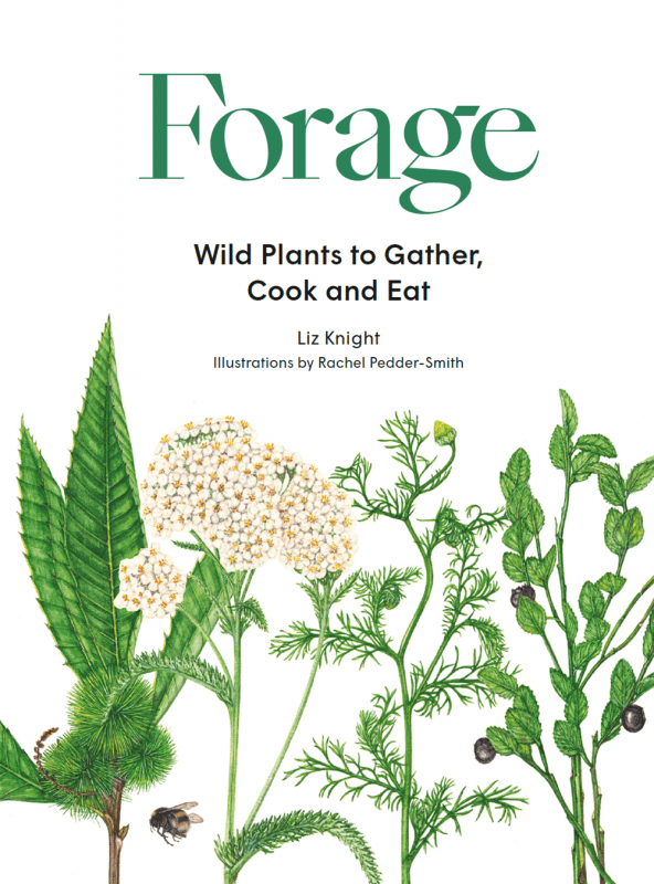 Laurence King Publishing Books > Food, Drink, & Drugs > Food Forage: Wild Plants to Gather and Eat - Hardcover 9781786277367 MC-26383