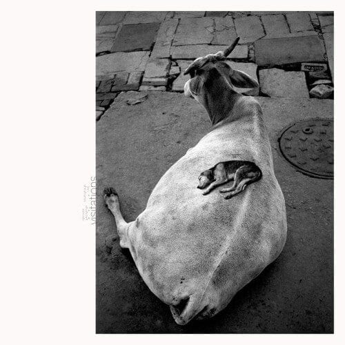 Leo Abrahams Music > Vinyl Records Abrahams, Leo & Ismaily, Shahzad - Visitations 5053760056270 FGEE8016.1