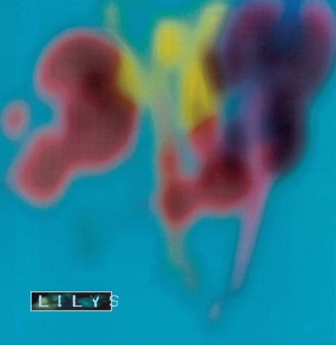 Lilys Music > Vinyl Records Lilys - Eccsame The Photon Band 018663108414 FRN31084.1