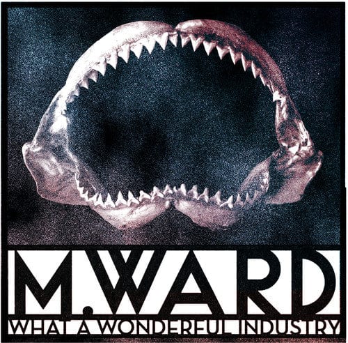 M. Ward Music > Vinyl Records M. Ward - What a Wonderful Industry 843563108482 MWA1.1