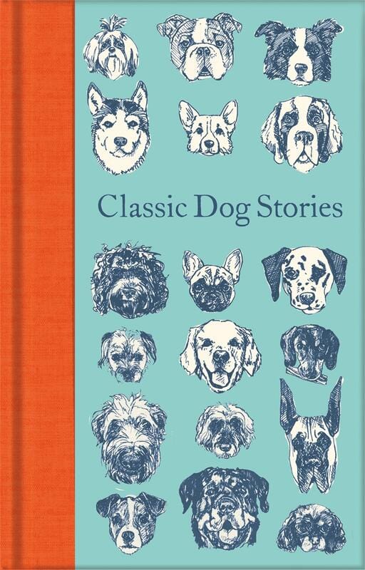 MacMillan Books > Art & Gifts > Pets Classic Dog Stories - Book 9781529021059 MC-25582