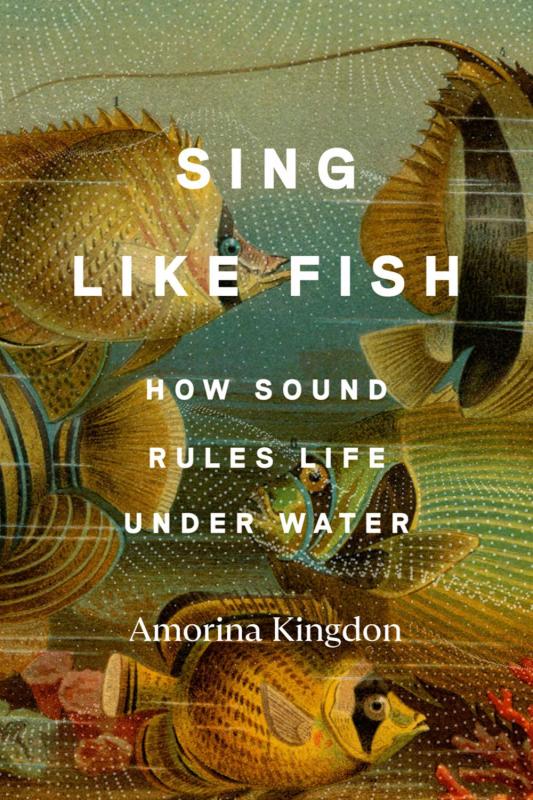 Microcosm Publishing Books > Smarts > Science Sing Like a Fish: How Sound Rules Life Underwater - Hardcover 9780593442777 9780593442777