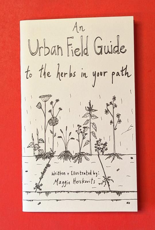 Microcosm Publishing Books > Zines An Urban Field Guide to the Herbs in Your Path - Zine 9781648419577 MC-45010