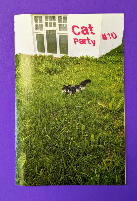 Microcosm Publishing Books > Zines Cat Party #10 - Zine 9781648413322 MC-49395