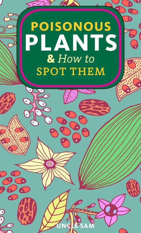 Microcosm Publishing Books > Zines Poisonous Plants & How to Spot Them - Zine by Uncle Sam 9781648416583