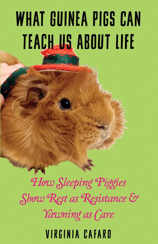 Microcosm Publishing Books > Zines What Guinea Pigs Can Teach Us About Life 9781621064039