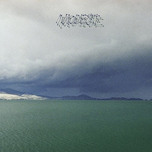 Modest Mouse Music > Vinyl Records Modest Mouse - Fruit That Ate Itself 767981144313 VIR7981144313.1