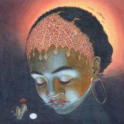 Mom & Pop Music Music > Vinyl Records Orion Sun - Orion (Gatefold LP Jacket) 810090095493 MMPO785.1