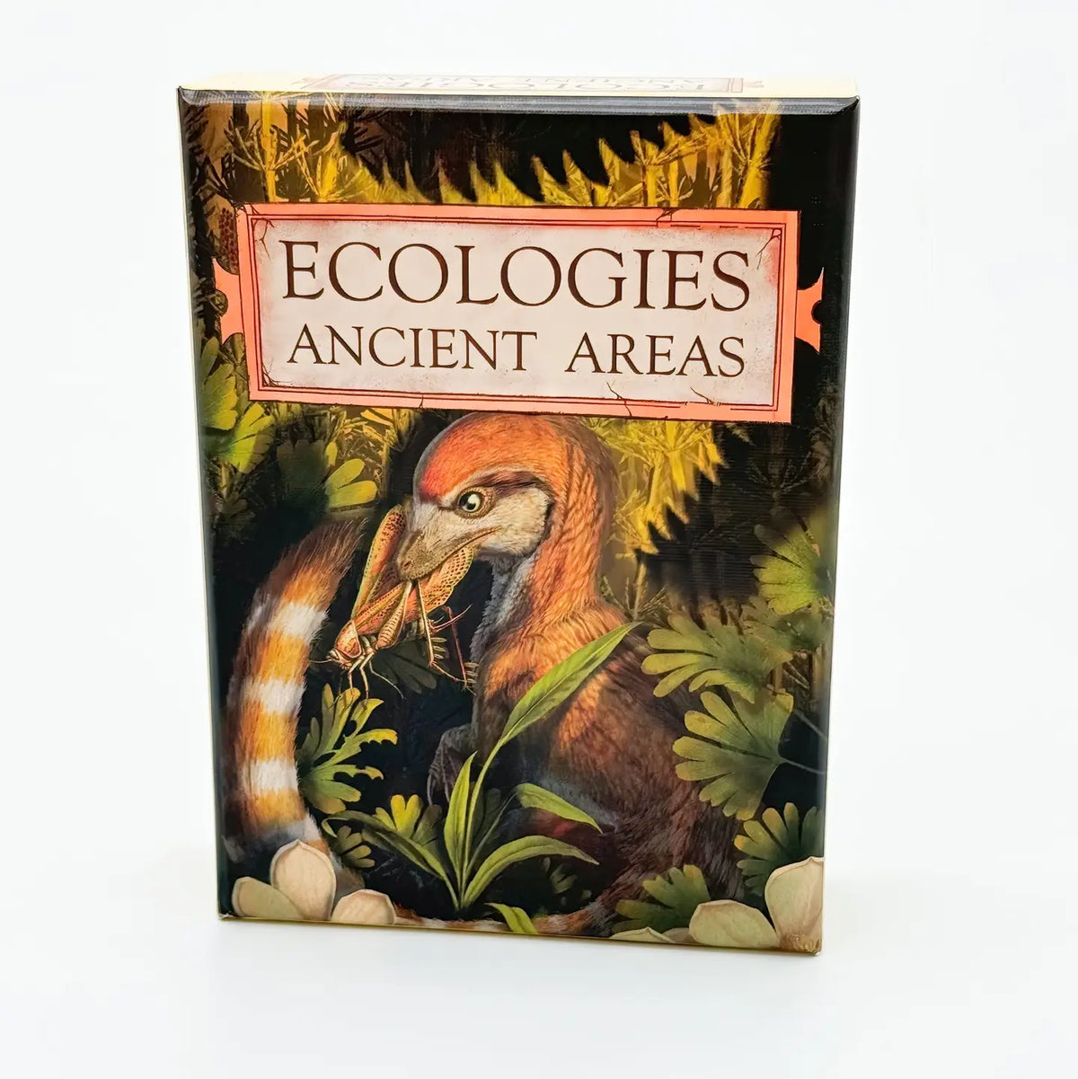 MONTROSE BIOLOGY Card Games Ecologies: Ancient Areas MON704