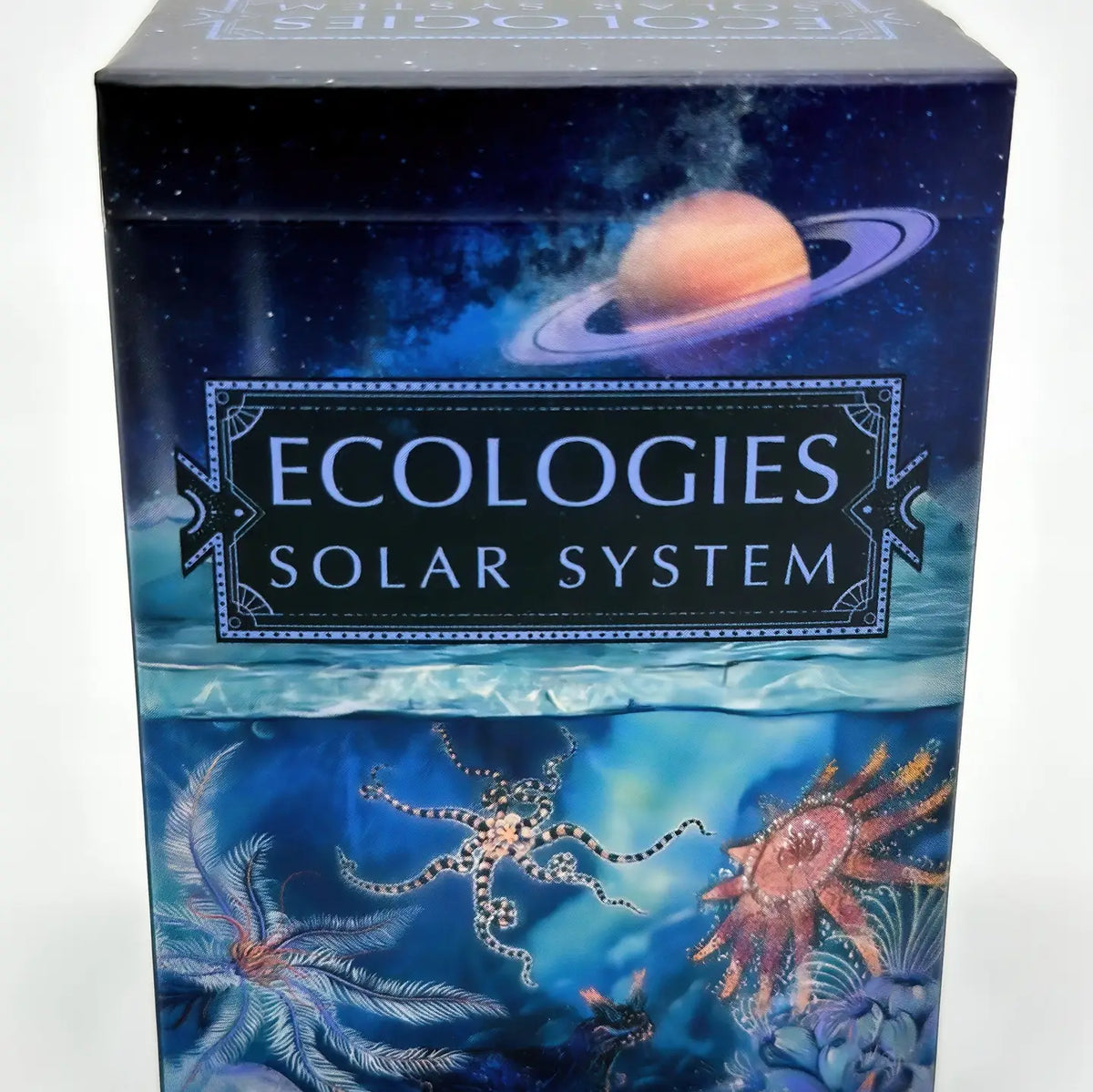 MONTROSE BIOLOGY Card Games Ecologies: Solar System