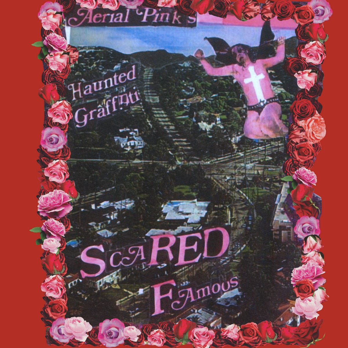 Third Eye Comics Music > Vinyl Records Ariel Pink - Scared Famous / FF 184923127416 MXSU231274.1