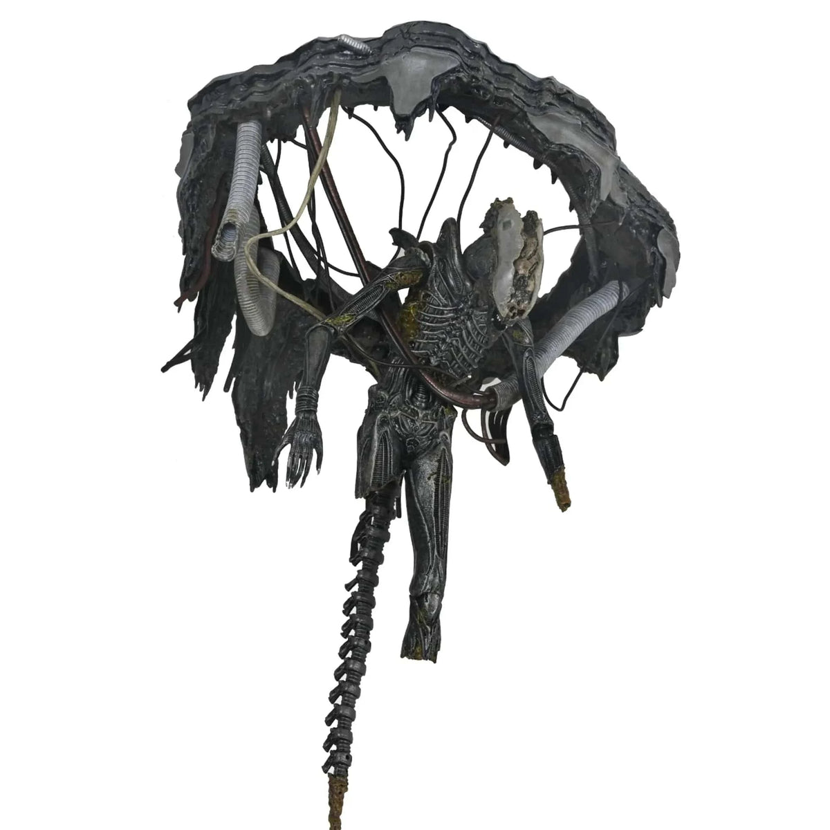 Neca Toys > Action Figures > Neca NECA: Alien Romulus - Suspended Lab Xenomorph XX121 634482517437 NE51743-06