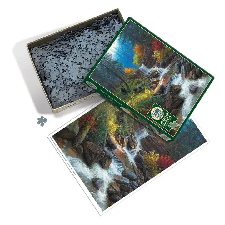 Outset Games and Cobble Hill Puzzles Puzzles > Jigsaw Puzzles Mountain Cascade 1000pc Puzzle 625012401937 40193
