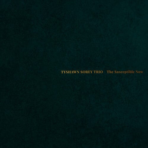 Pi Recordings Music > Vinyl Records Tyshawn Sorey Trio - The Susceptible Now 808713010411 808713010411