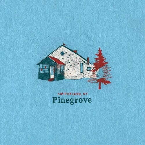 Pinegrove Music > Vinyl Records Pinegrove - Amperland, NY 191402018912 RTUS189.1