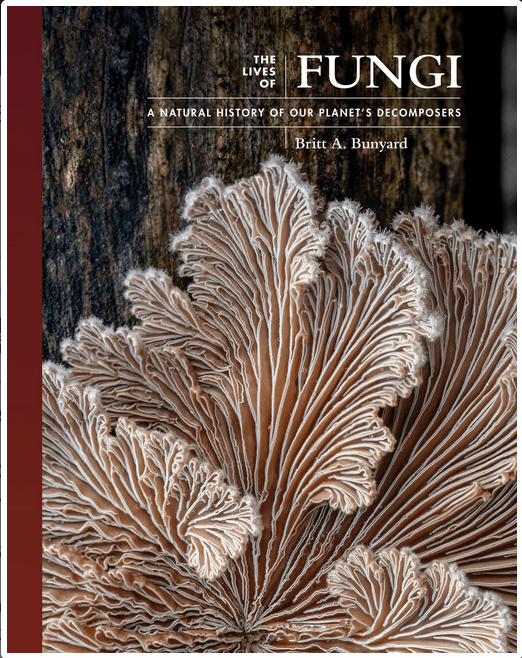 Princeton University Press Books > Smarts > Science Lives of Fungi: A Natural History of Our Planet's Decomposers - Hardcover 9780691229843 MC-53752