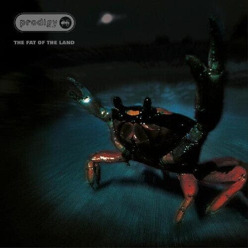 Prodigy Music > Vinyl Records Prodigy - Fat Of The Land, 25th Anniversary Edition 634904212117 BQTX121.1