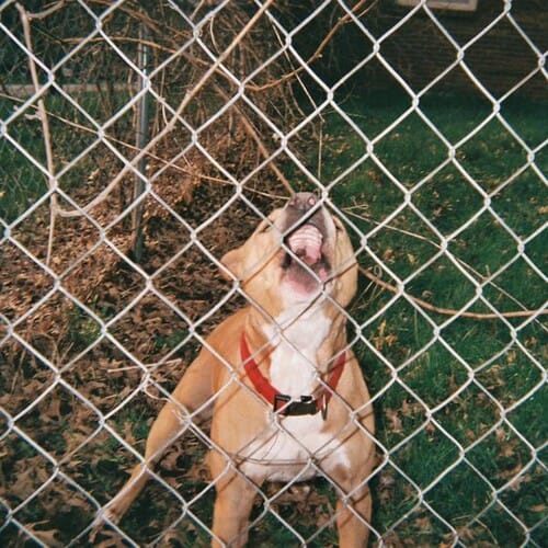 Pure Noise Music > Vinyl Records Knocked Loose - Pop Culture (Colored Vinyl, White, Black Ice, Splatter) 810540039237 PUNO1878.1