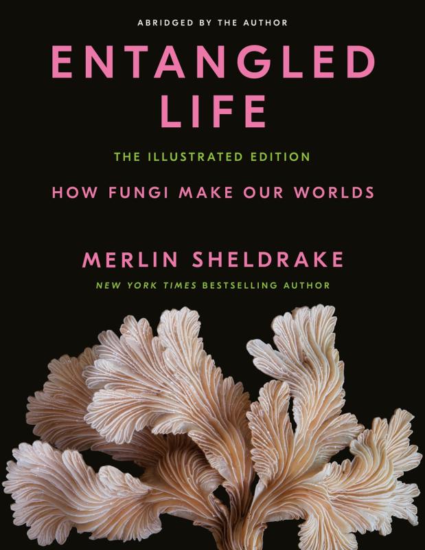 Random House Books > Art & Gifts > Art Entangled Life: The Illustrated Edition - Hardcover 9780593729984 MC-52850
