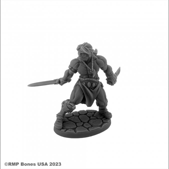 Reaper Miniatures Miniatures > Reaper Dungeon Dwellers Bones: Hyborian Hero 762486071164 RPR 07116