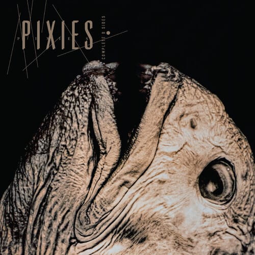 Redeye Distribution Music > Vinyl Records Pixies - Complete B Sides: 1988-97 (Indie Exclusive, Clear Vinyl) 191400087804 FOUR878IE.1
