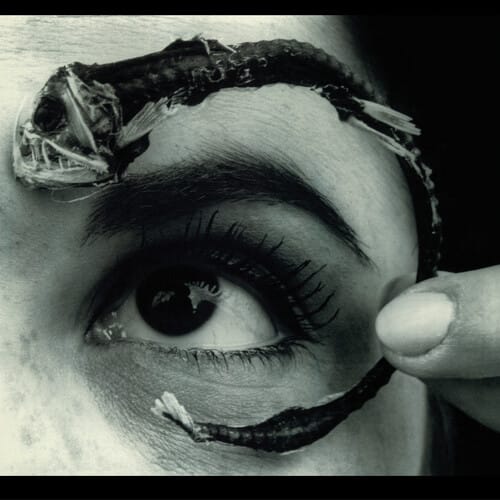 Rhino Music > Vinyl Records Mr Bungle - Disco Volante (Clear Vinyl, Light Blue) 081227809584 RHI809584.1