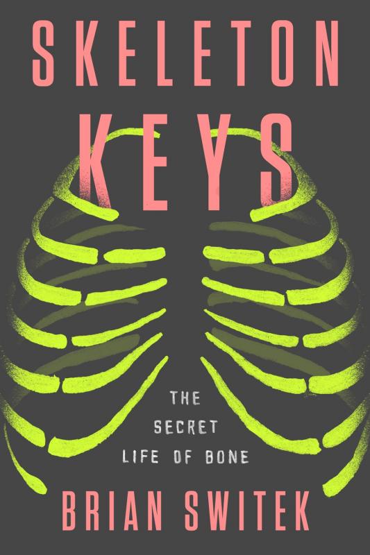 Riverhead Books Books > Smarts > Science Skeleton Keys: The Secret Life of Bone - Hardcover 9780399184901 MC-31354