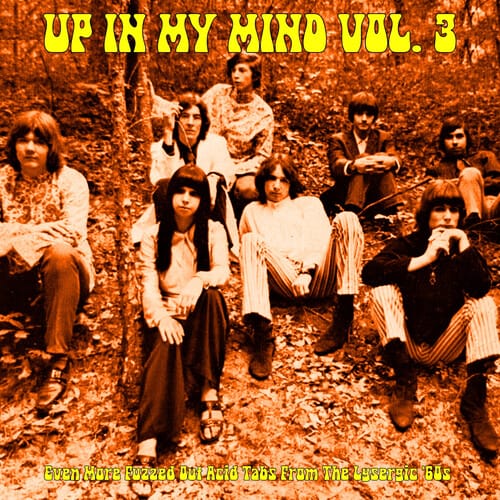 Roadburn Productions Music > Vinyl Records Various Artists - Up In My Mind Vol. 3: Even More Fuzzed Out Acid Tabs From The Lysergic '60S 9509972478141 RDUN3A.1
